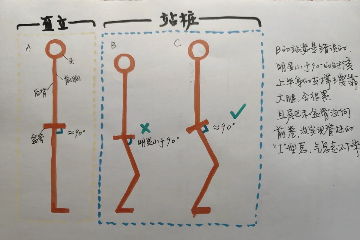 儿童篮球培训中智能情感的应用案例_0